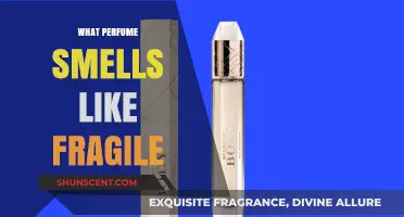 Discover the Fragility of Scents: A Perfume Guide