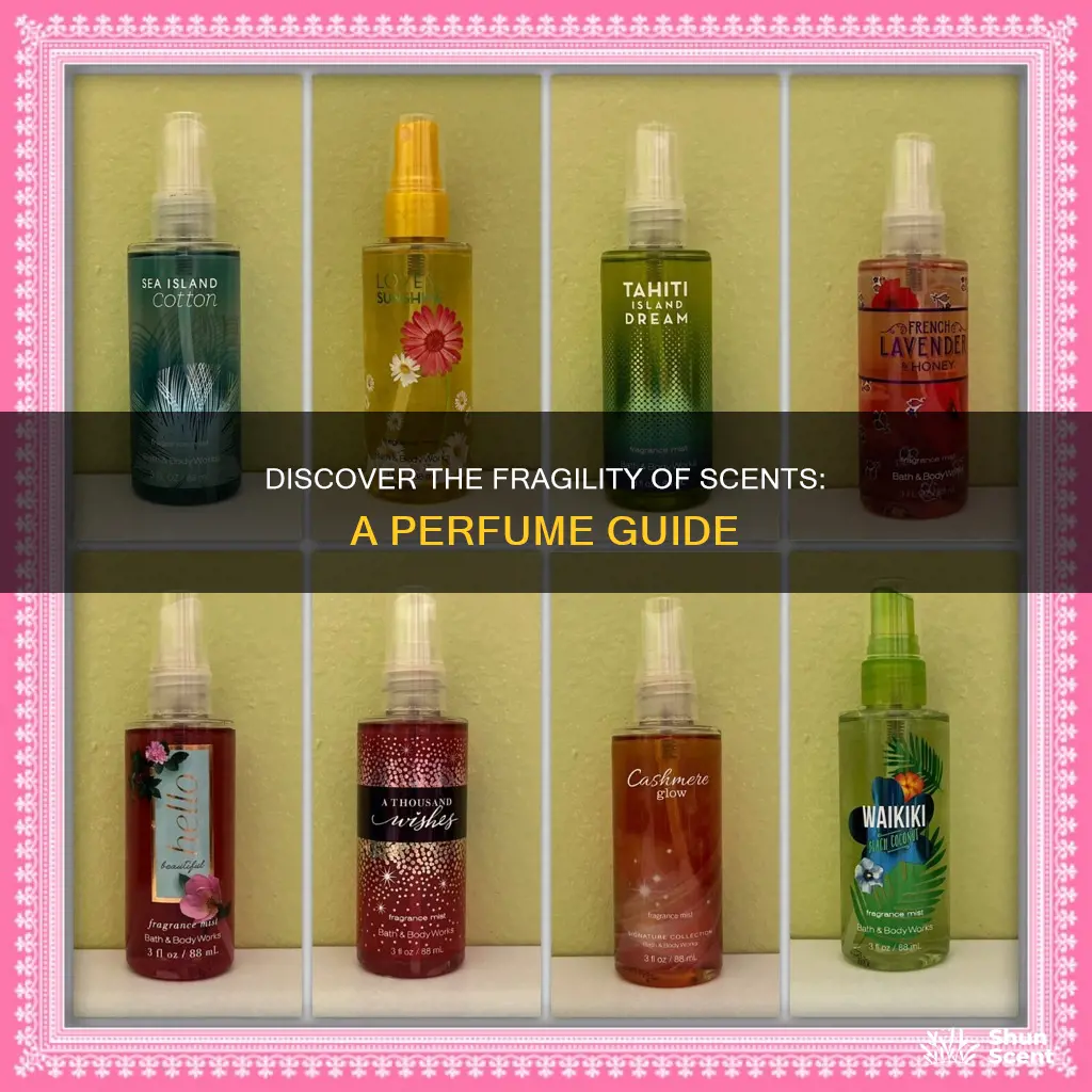what perfume smells like fragile