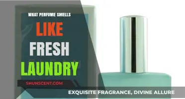 Fresh Laundry Scents: Perfumes that Smell Clean
