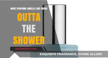 Fresh Scents: Perfumes That Smell Like a Shower