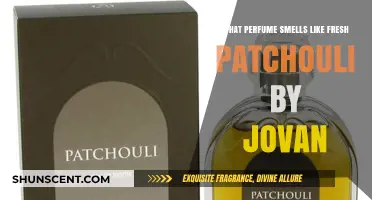 Discover Fresh Patchouli by Jovan: A Sensory Experience