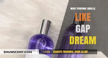 Discovering the Scent of Dreams: Gap Dream's Perfume Notes