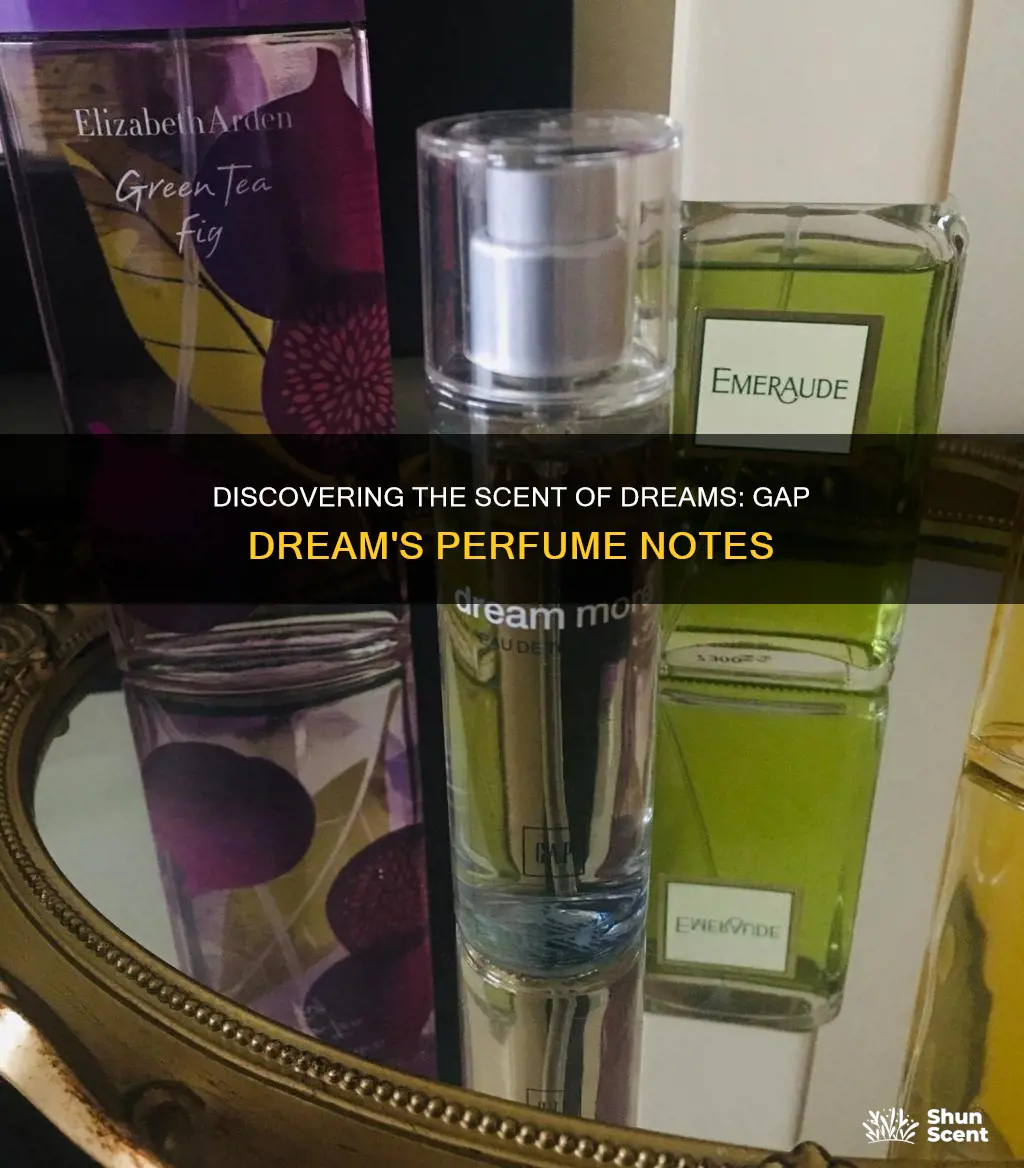 what perfume smells like gap dream