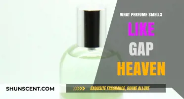 Heavenly Scents: Gap Heaven's Fragrance Notes