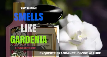 Gardenia Scents: Discover the Fragrance Notes