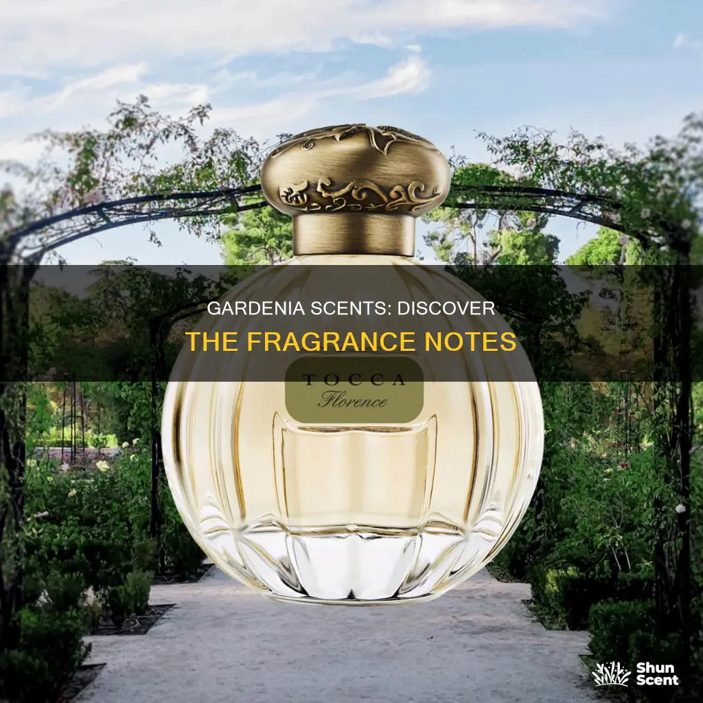 what perfume smells like gardenia