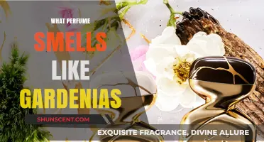 Gardenia Scents: Discover the Best Perfumes