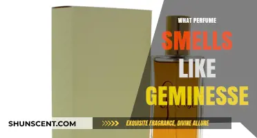 Geminesse Perfume: What Are Its Notes and Scents?
