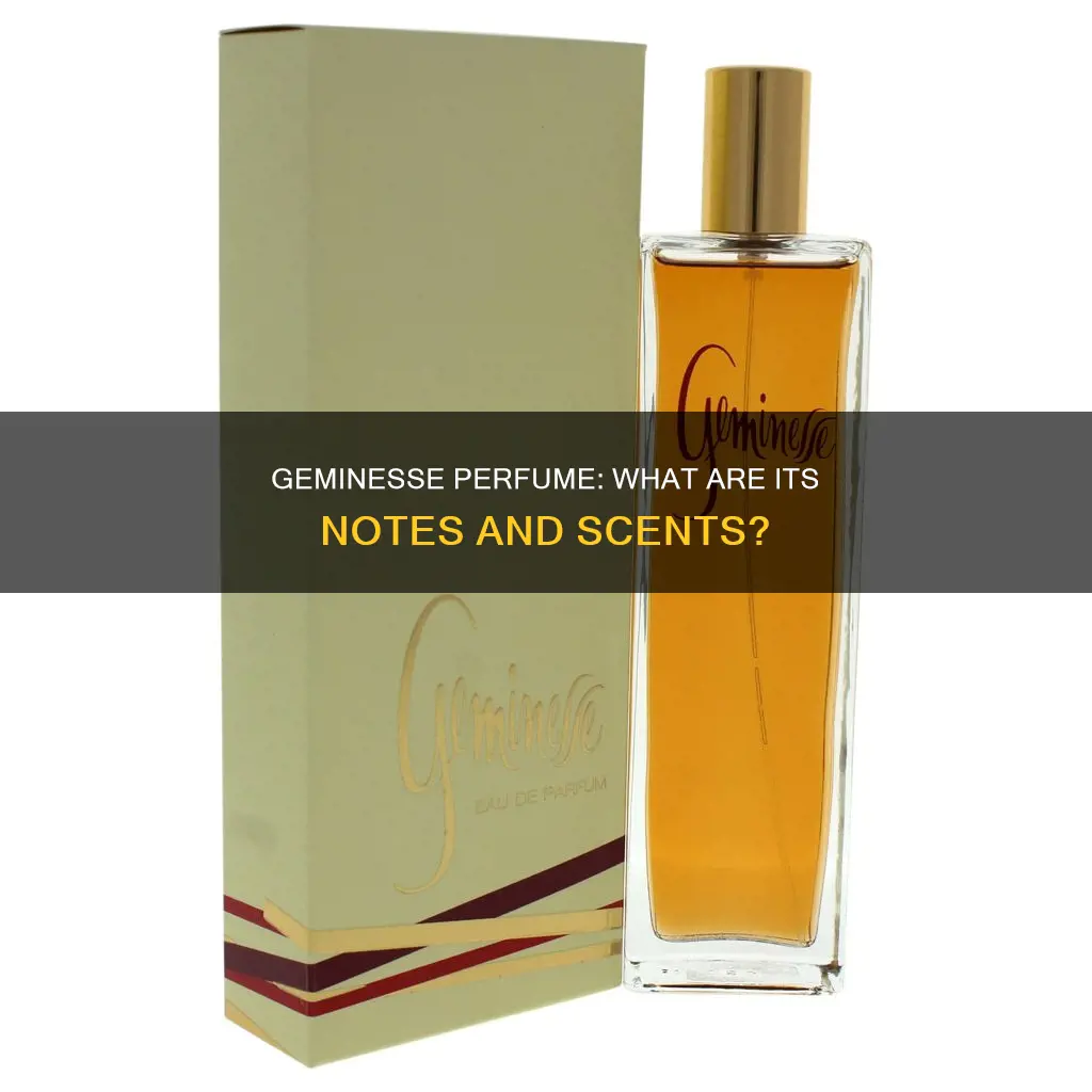 what perfume smells like geminesse