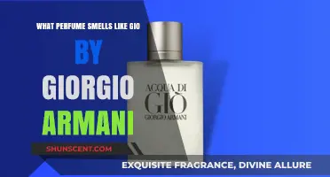 Similar Scents: Armani's Gio and Its Perfume Cousins