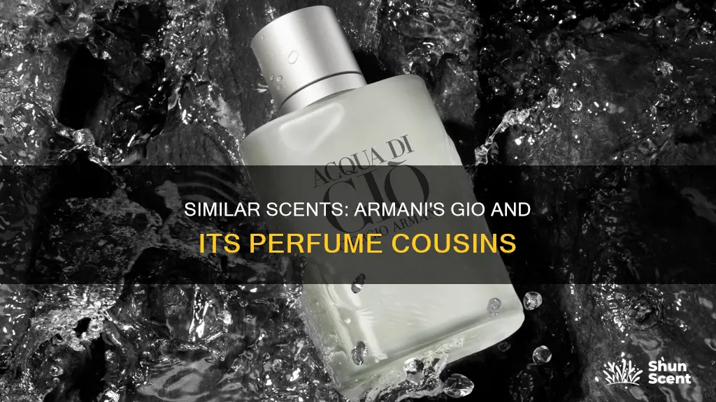 what perfume smells like gio by giorgio armani