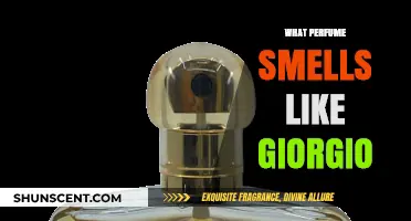 Giorgio-like Scents: Discover the Similar Perfumes