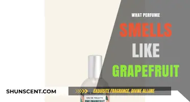 Grapefruit Scents: Fresh, Zesty Perfumes for You