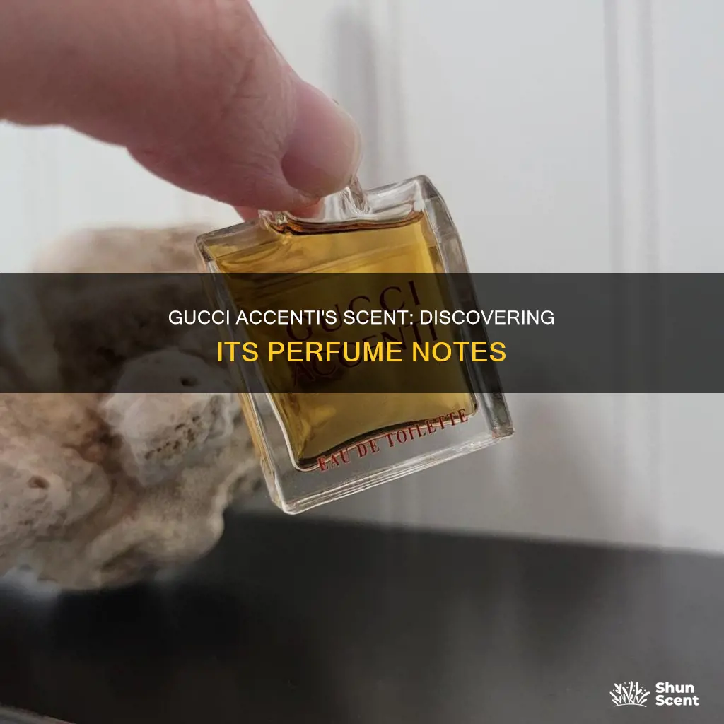 what perfume smells like gucci accenti