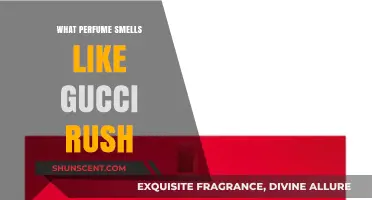 Find the Scent: Gucci Rush Alternatives