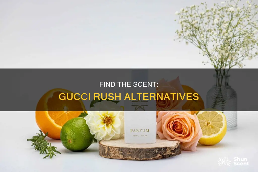 what perfume smells like gucci rush