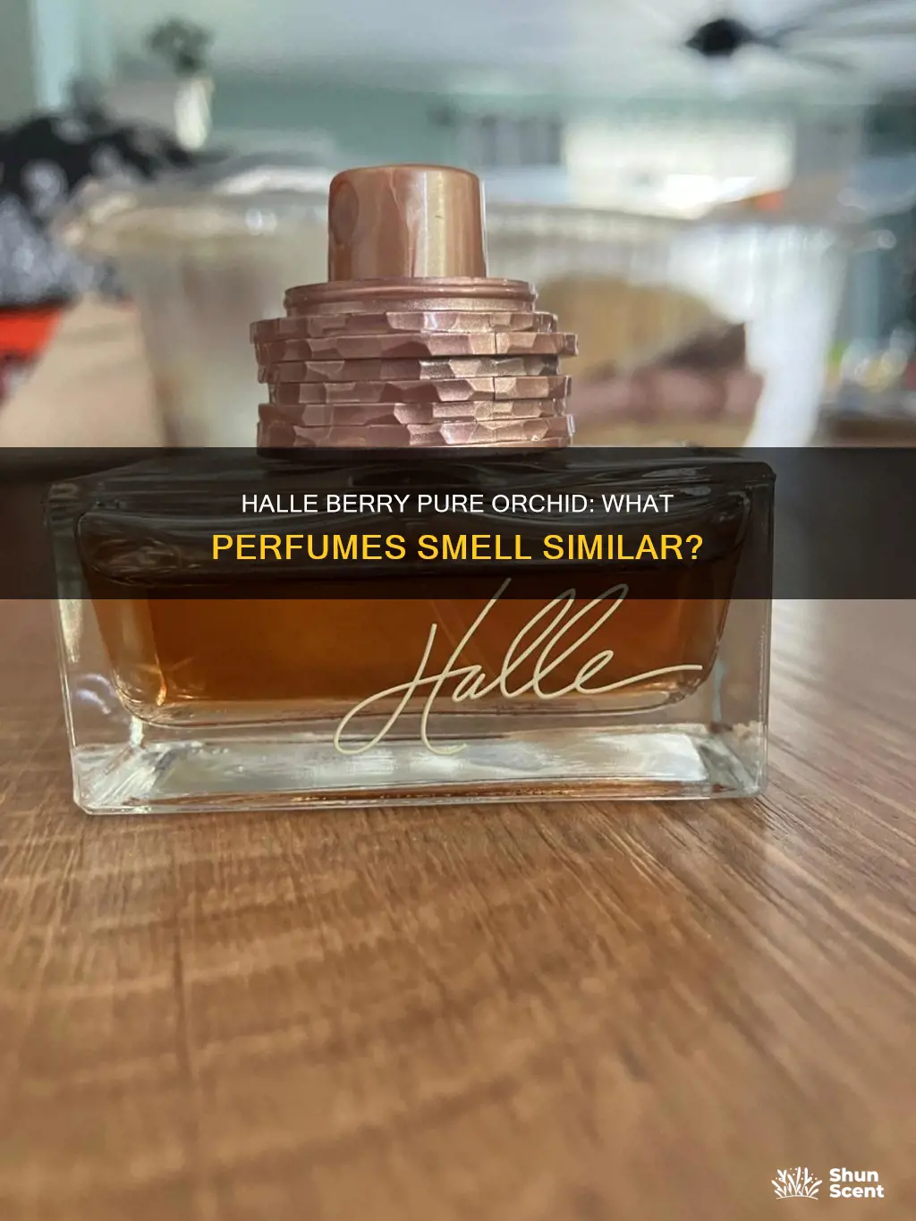 what perfume smells like halle berry pure orchid