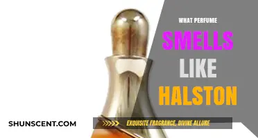 Discovering Halston's Signature Scent: A Fragrance Guide