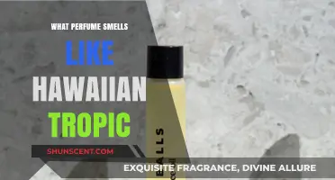 Discovering the Hawaiian Tropic Scent in Perfumes