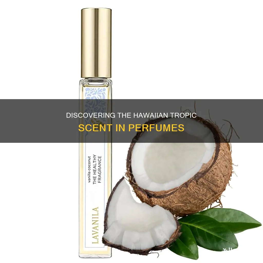 what perfume smells like hawaiian tropic