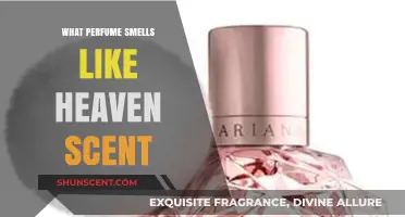 Heavenly Scents: Perfumes That Smell Divine