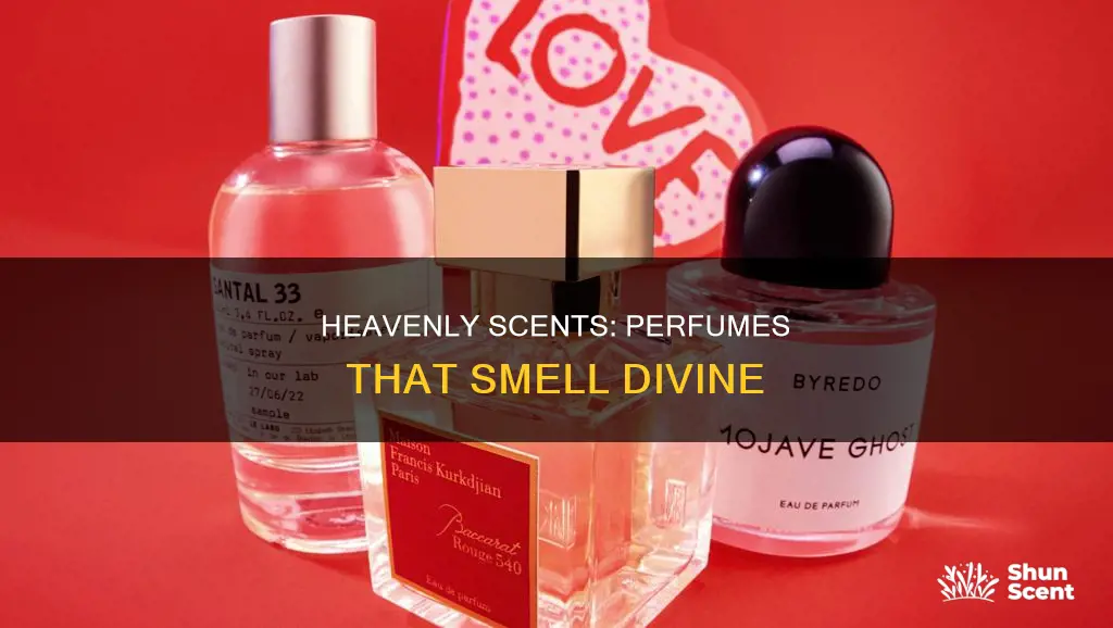 what perfume smells like heaven scent