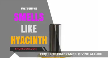Hyacinth Scents: The Best Perfumes for a Floral Sillage