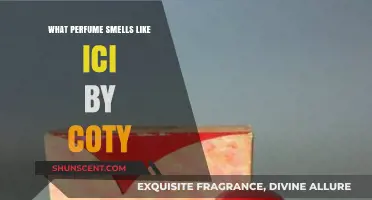 Discover the Fragrance ICI by Coty Resembles