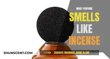 Incense-Inspired Fragrances: A Guide to Incense-Like Perfumes