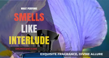 Discovering Interlude Scents: Exploring Unique Fragrances