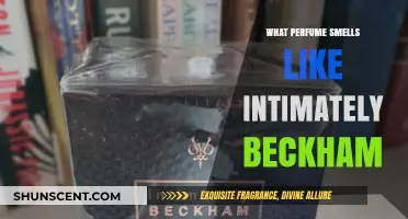 Beckham's Intimate Scents: Exploring Fragrance Similarities