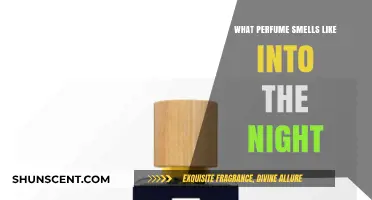 Into the Night: A Fragrance of Mystery and Seduction