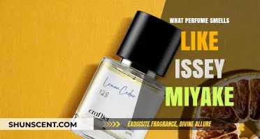Discovering Perfumes That Resemble Issey Miyake's Signature Scent