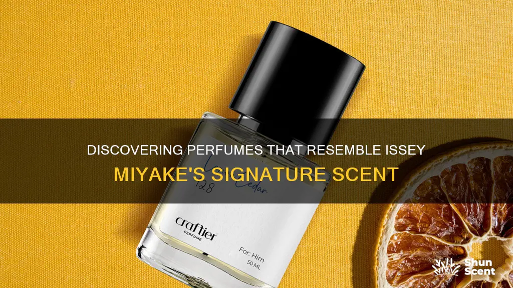 what perfume smells like issey miyake