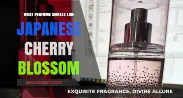 Japanese Cherry Blossom Scents: Perfumes and Colognes