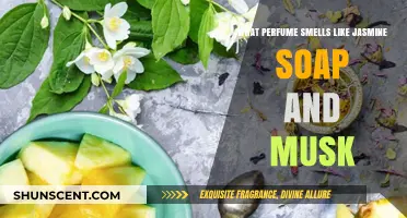 Jasmine Soap and Musk: The Perfect Perfume Blend