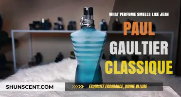 Jean Paul Gaultier Classique: The Fragrance's Longevity and Sillage