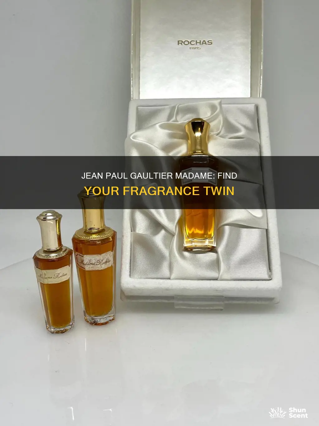 what perfume smells like jean paul gaultier madame