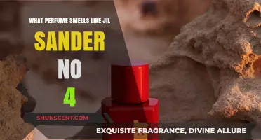 Perfumes That Evoke Jil Sander No. 4