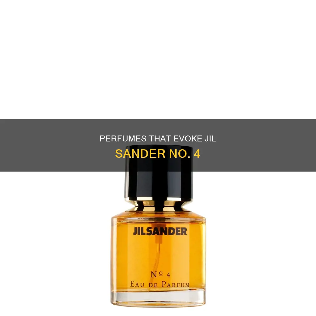 what perfume smells like jil sander no 4