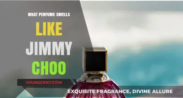 Discovering Scents Similar to Jimmy Choo Fragrances