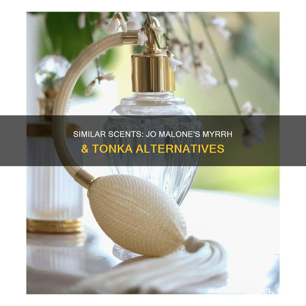 what perfume smells like jo malone myrrh and tonka