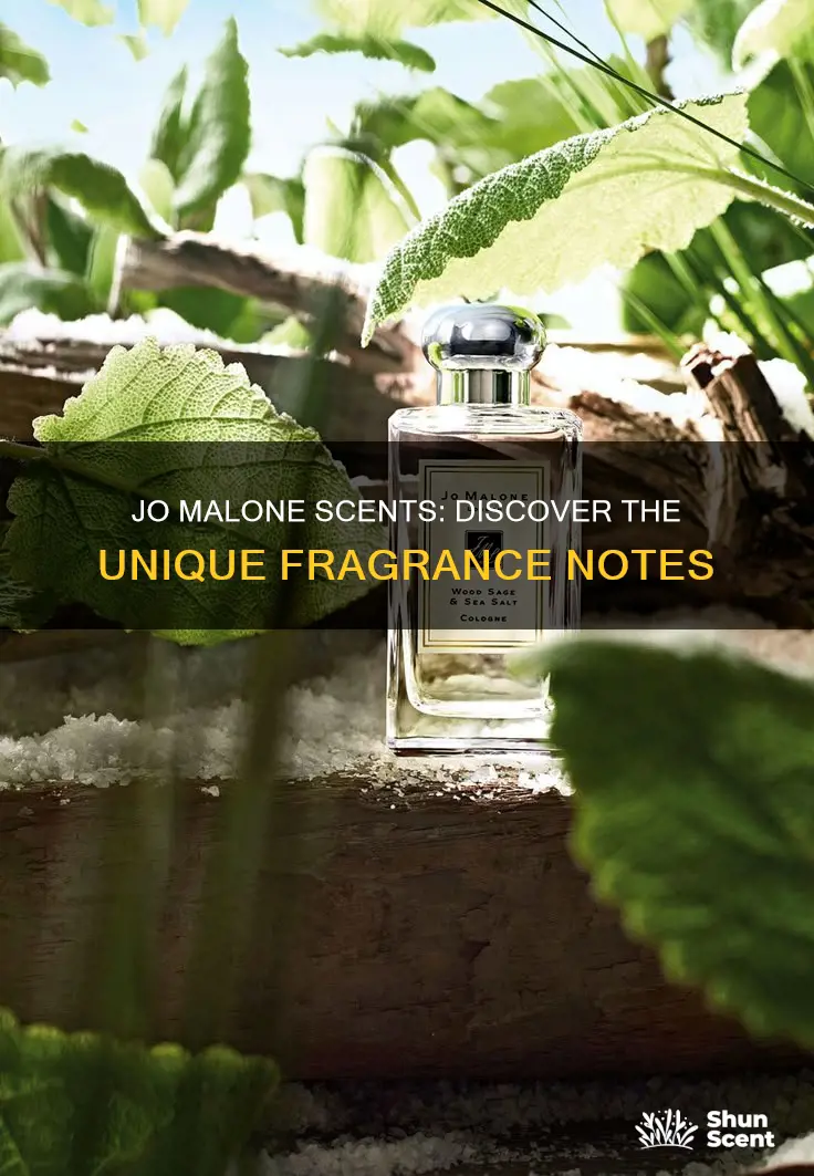 what perfume smells like jo malone