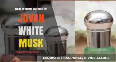 Similar Scents to Jovan White Musk