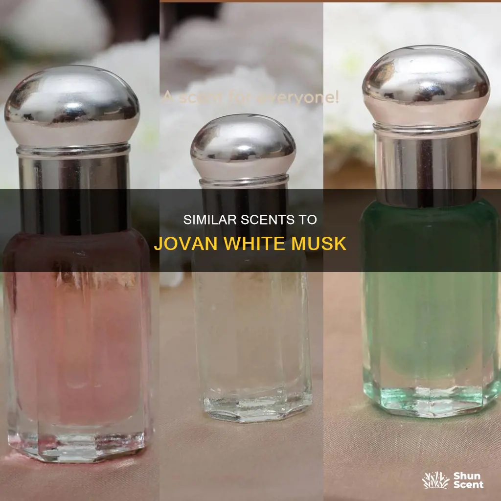 what perfume smells like jovan white musk