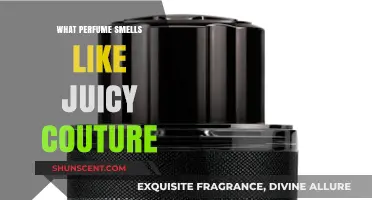 Scents Similar to Juicy Couture: A Guide