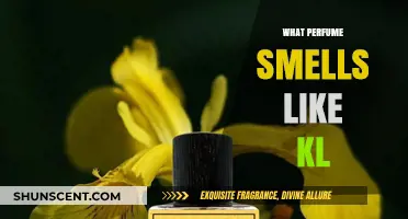 Scents of KL: Discovering the City's Unique Fragrance