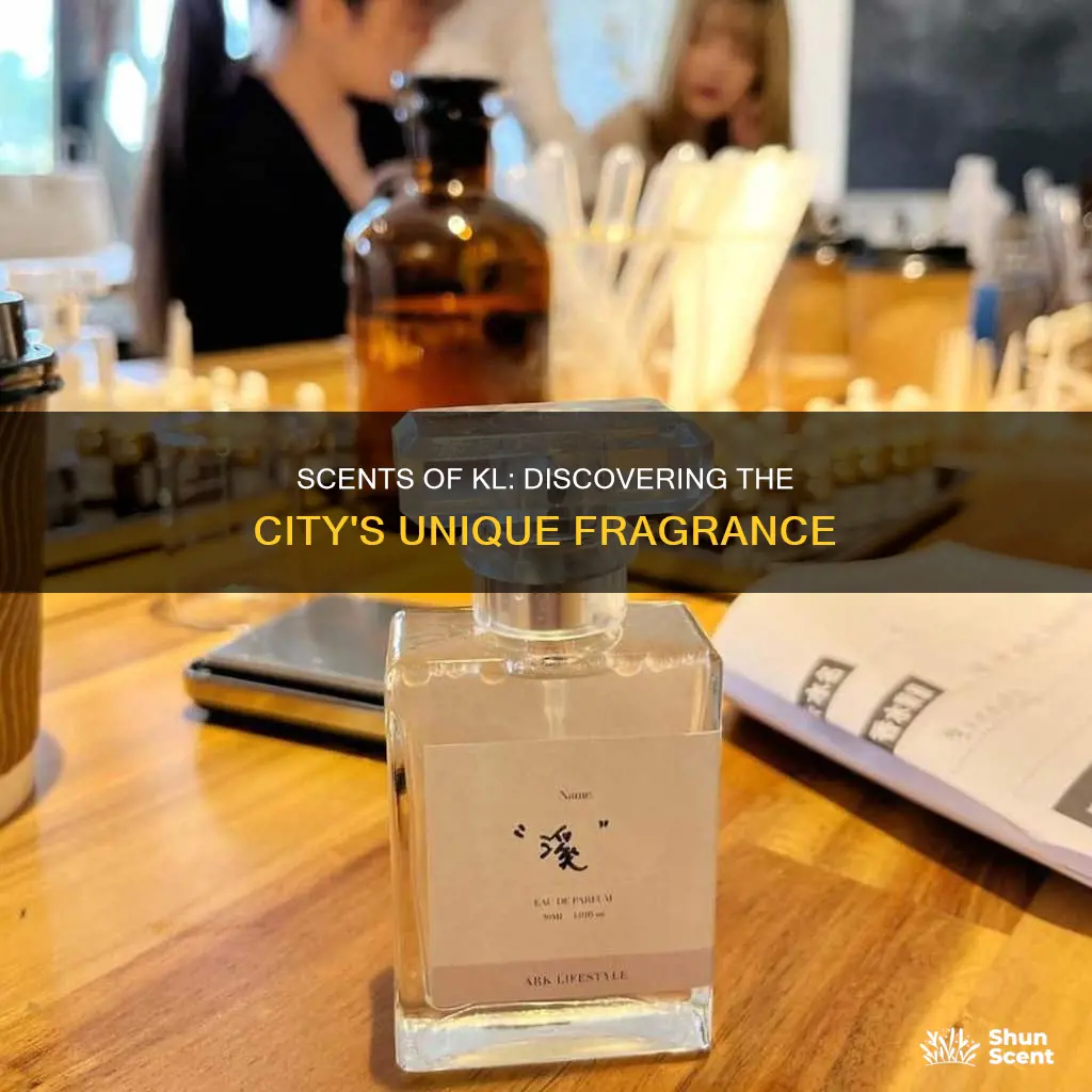 what perfume smells like kl