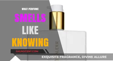Knowing Fragrance: A Perfume that Smells Like Success