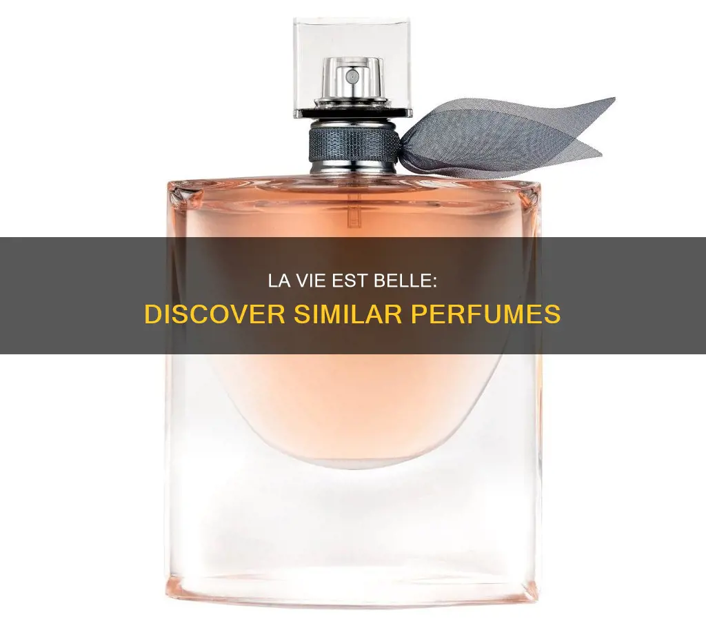 what perfume smells like la vie est belle